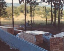 Scan30005