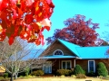 Hofstetter-autumn-log-entrance