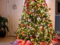 hofstetter-christmas-tree