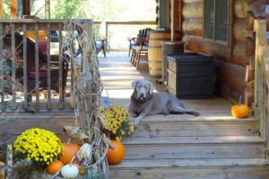 Honest Abe Living, October 2019